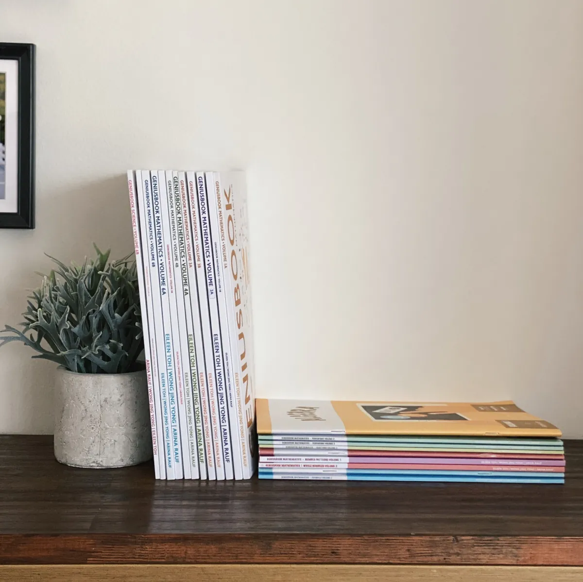 GPA GENIUSBOOK textbooks and workbooks on a shelf