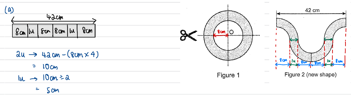 Segmented 42 cm length and annotated Figures 1 and 2 used to find the ring width